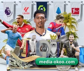 media-okoo.com APP